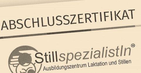 Meine Ausbildung