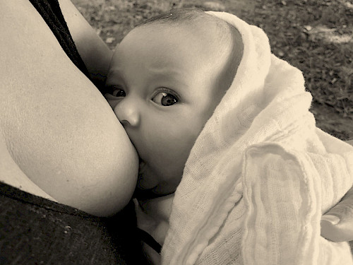 Die Amme …